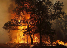 Texas Wildfire Anger Across The State (15 Pics)