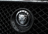 Race for Jaguar