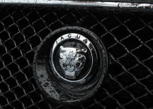 Race for Jaguar
