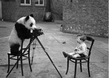 Top 10 Offbeat Stories of the Day – March 5th 2012