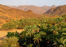 5 Most Beautiful Oasis