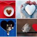 Valentine’s Day: Heart, Hearts Everywhere….