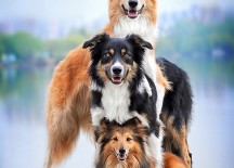 Life is Beautiful When You Go Over it With Your Friends.