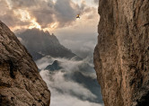 15 Best Adrenaline Pictures of the Week – July 25th to July 31st, 2013