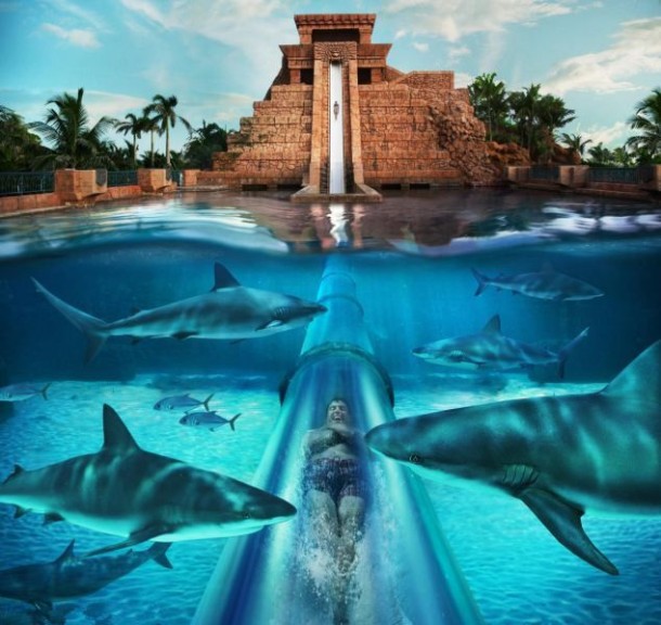 Scariest Water Slide of the World, Leap Of Faith Atlantis ...
