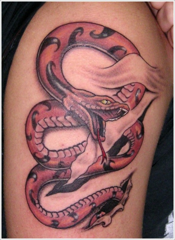 Snake Tattoo Designs For The Day