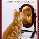 Give A Cheerful Start To Your Life With Inspirational Quotes…