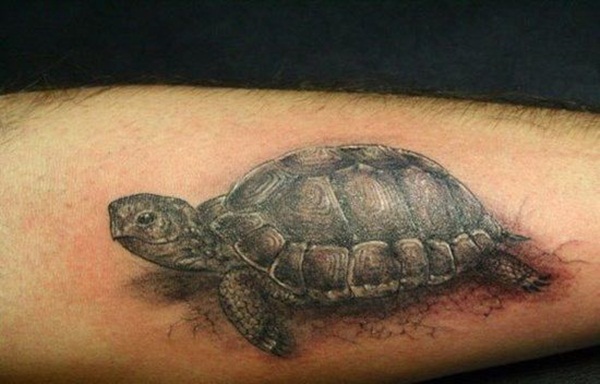[Image: Turtle-Tattoo-17.jpg]