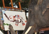 Awesome Impressionist Elephant Paint With Flower…SAVE ANIMALS