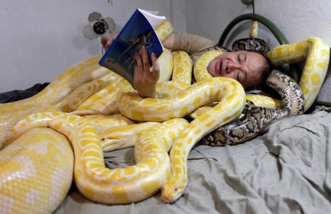 Zoo-owner-Emmanuel-Tangco-reads-a-book-to-his-snakes-in-his-bedroom-in-Malabon-Metro-Manila.-650x420.jpg
