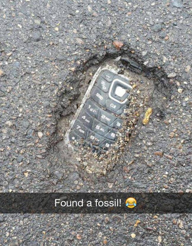 [Obrazek: cell-phone-fossil.jpg]