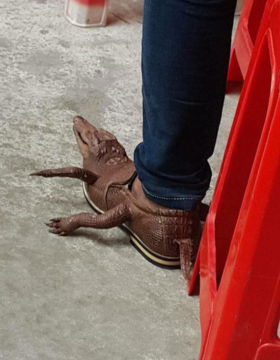 real-crocs-shoes.jpg