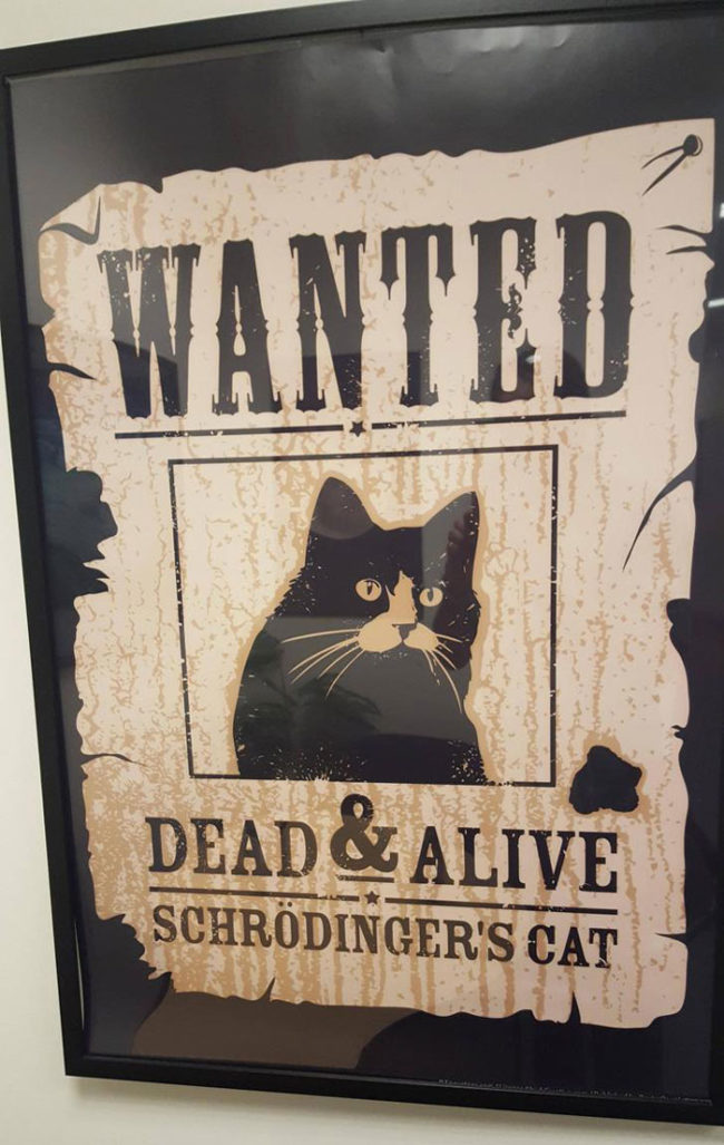schrodingers-cat-wanted-poster-650x1027.jpg