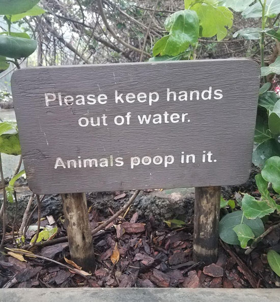 The aquarium keeping it real