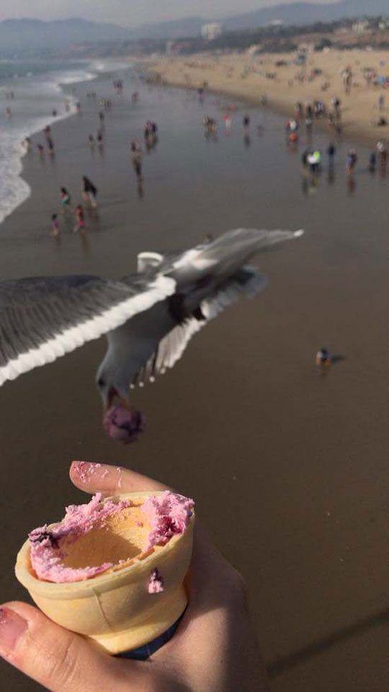 My friend tried to take a picture of her ice cream