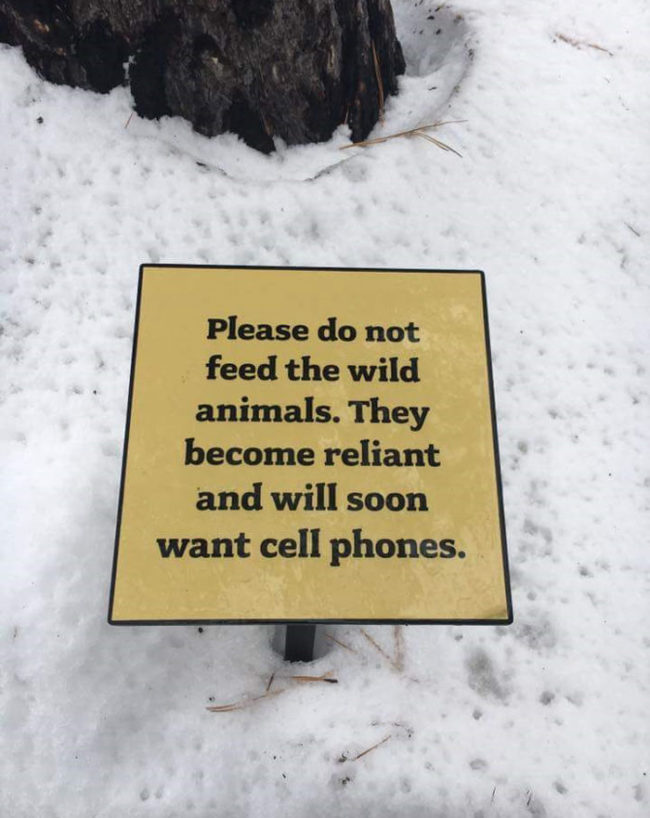 animals-want-cell-phones-650x818.jpg