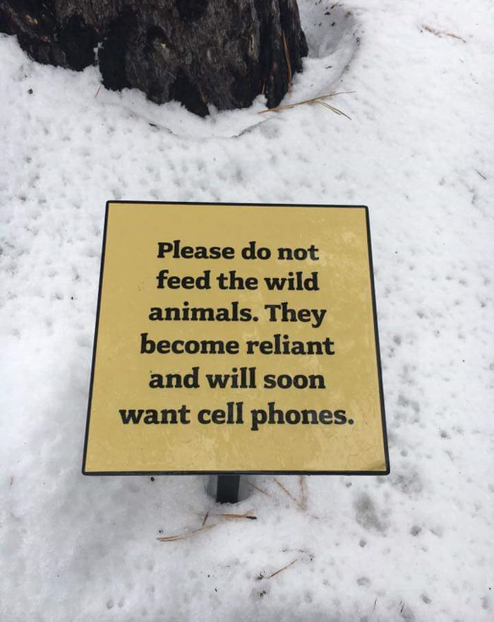 animals-want-cell-phones.jpg