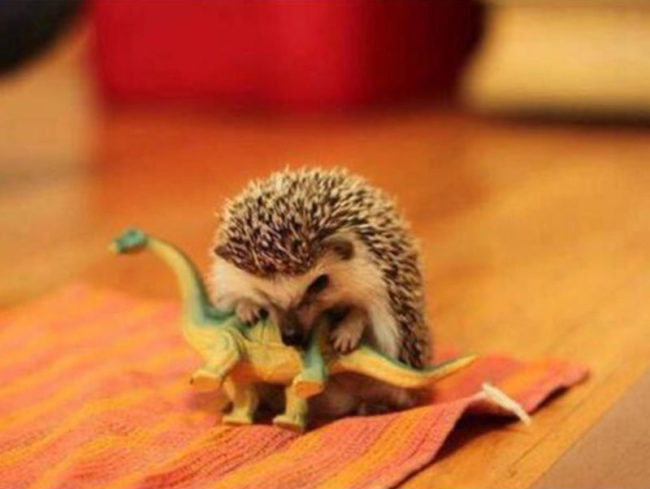 Scientists have uncovered the true cause of extinction of dinosaurs