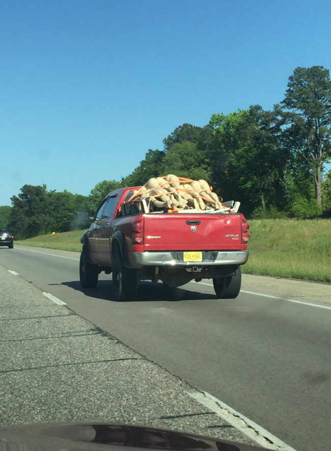 Saw this guy hauling ass today