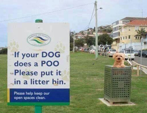 Please-put-it-in-the-litter-bin.jpg