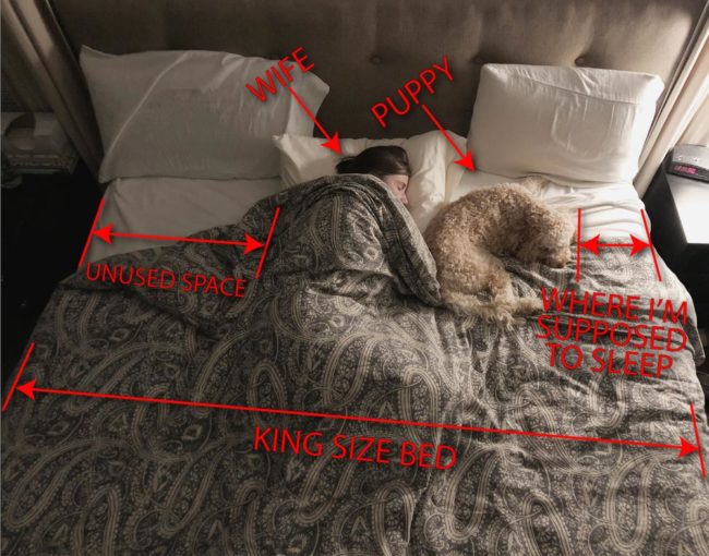 king-size-bed-getting-smaller-650x510.jpg