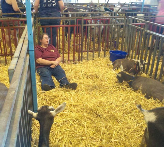 napping-with-the-goats-650x582.jpg