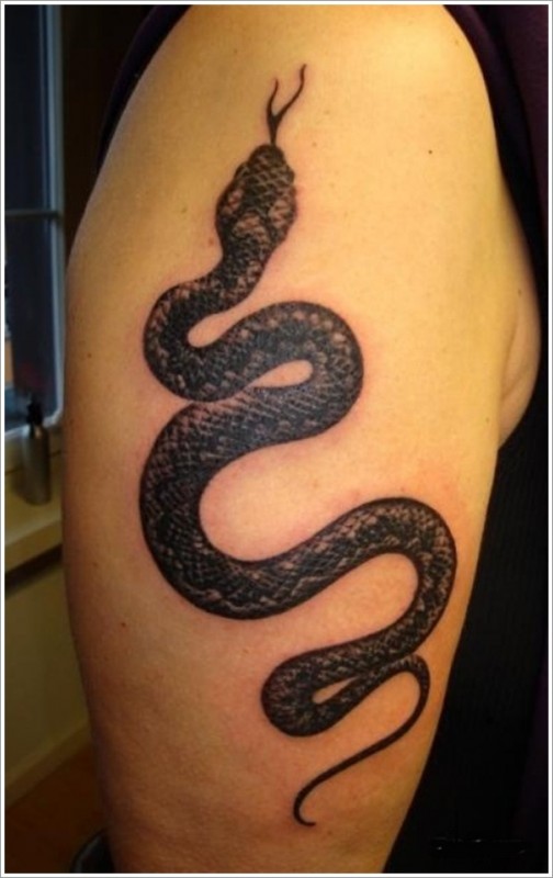Snake Tattoo Designs For The Day