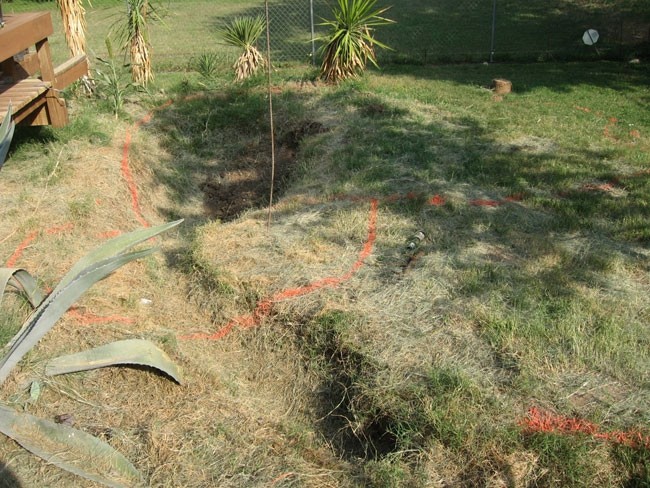 Pond in Backyard