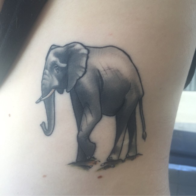 Elephant tattoo done by Dan Molloy of WA ink in Fremantle, Australia. He is incredible!