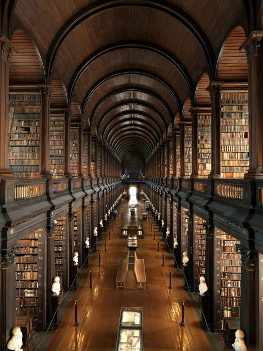 Architecture - 25 most beautiful and magnificent libraries around the world Majestic-Library-1