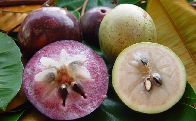 10 Most Bizarre and Unusual Apples around the World