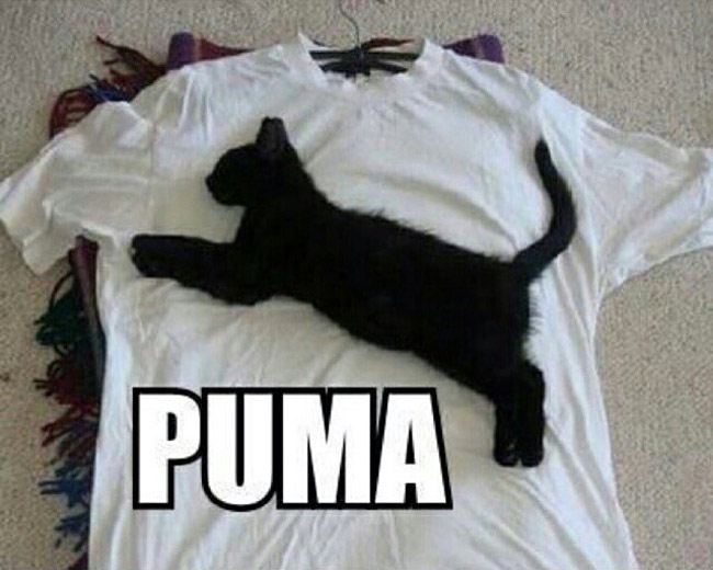 Funny Puma Logo
