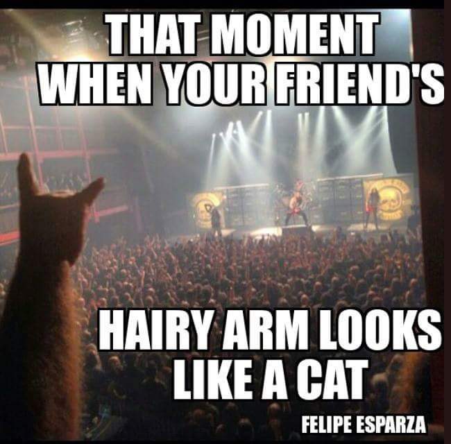 Hairy arm looks like a cat