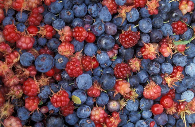 How to Keep Berries Fresh