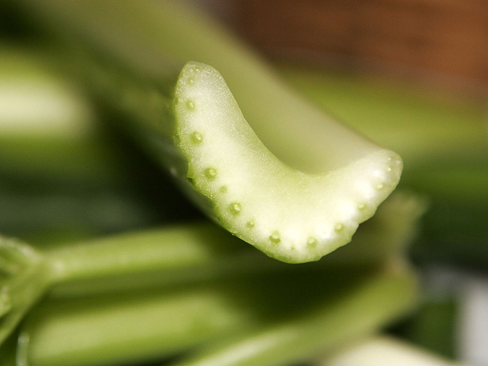 How to Keep Celery Fresh