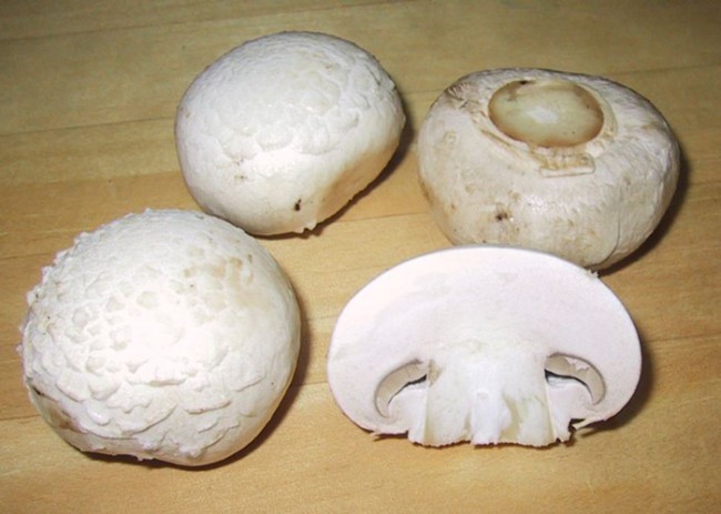 How to Keep Mushrooms Fresh