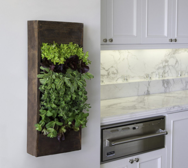 Indoor-Herb-Gardens-4