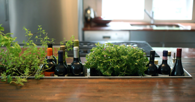 Indoor-Herb-Gardens-9