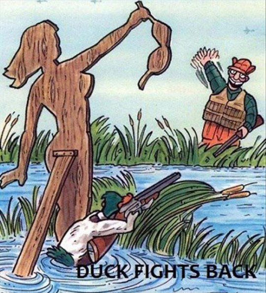 Duck Fights Back