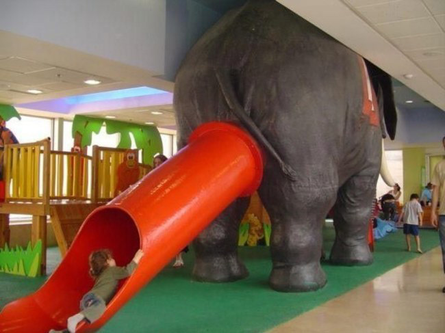 Elephants Bum Slide