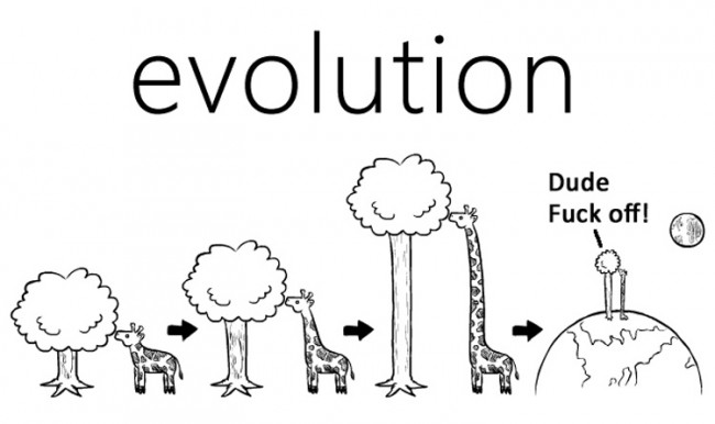 Giraffe Evolution
