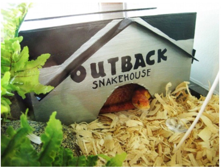 Outback Snakehouse