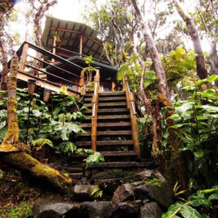 Treehouse at Kilauea Volcano
