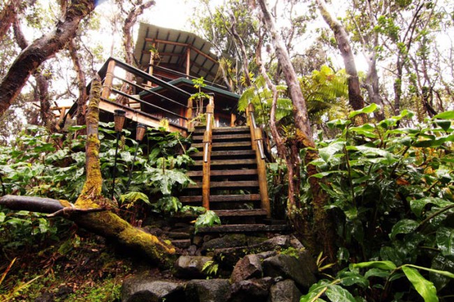 Treehouse at Kilauea Volcano