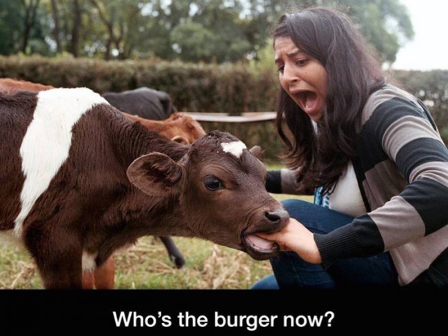 Who's the burger now?