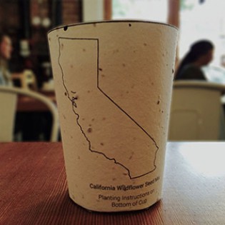 Plantable Coffee Cup