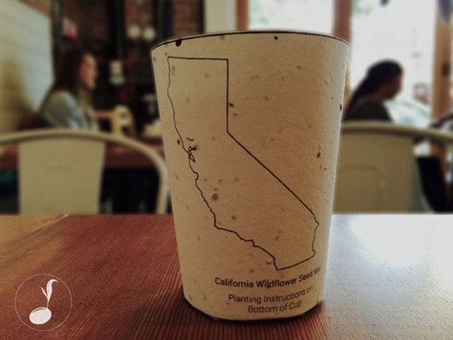 Plantable Coffee Cup