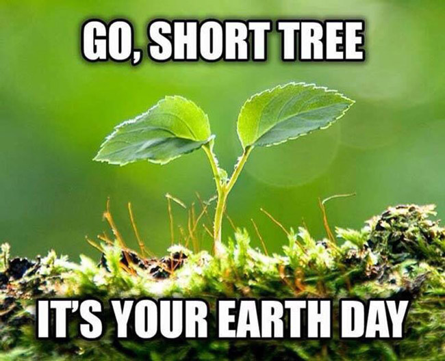 Grow, short tree, It's your earth day.