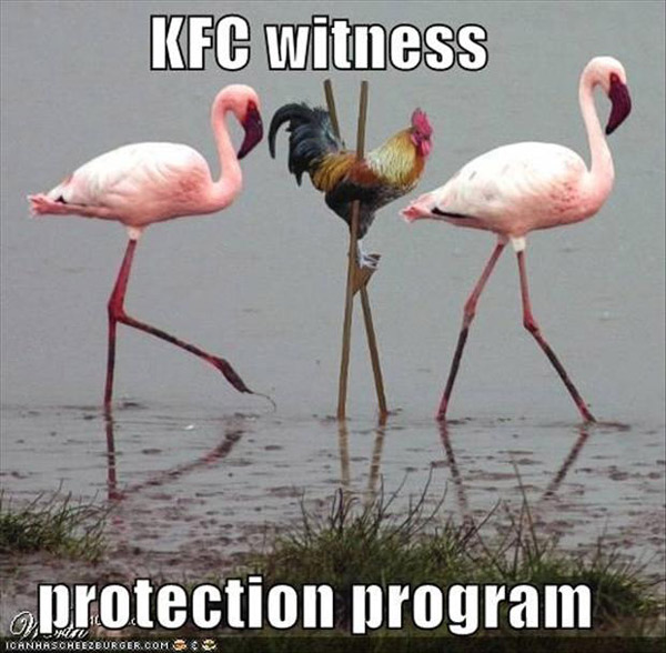 KFC witness protection program