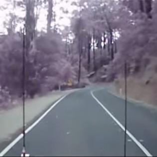Trees Falling On Road